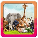 Animals Fantasy : Memory Game