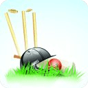 Fling Cricket Fling