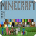 Minecraft Video