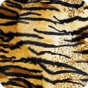 tiger print
