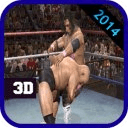 Wrestling Fighter 2014