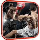 Boxing Video Live Wallpaper