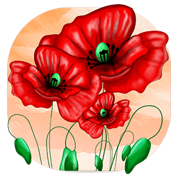 Poppy Flowers Keyboard