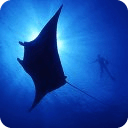 Underwater World HD