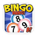 Bingo Bang! - Bingo en Espa&ntilde;ol