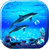 Dolphin Sounds Live Wallpaper