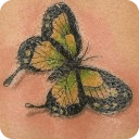 Tattoo Butterfly Images