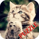 Baby Cat Puzzle
