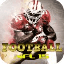 Football NFL 15