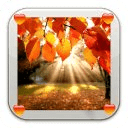 Autumn Live Wallpaper HD Free