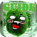 Marimo Moss Ball Guide