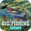 Big Fishing Sport