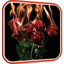 Burning Roses Live Wallpaper