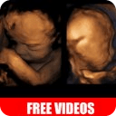 pregnancy Videos