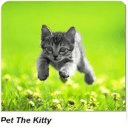 Pet the kitty