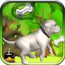 Running Dog Magic Bone