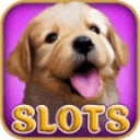 Slots: Puppy Love Vegas Pokies