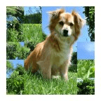 Puzzle Dogs Images Free