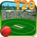 3D Cricket Stadium