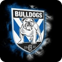 NRL Canterbury Bulldogs News