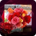 Roses Diamond