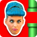 Katy Perry Bird Game