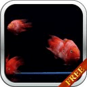 Red Fish Aquarium LWP HD