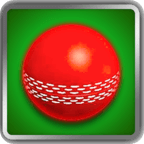 Cricket Ball Fever