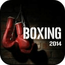 Boxing 2014