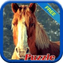 Horse Game Puzzle