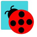 Lady Bug Jump