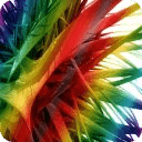 Colored Feathers Live Wallpaper