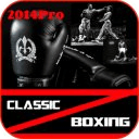 Classic 2014Pro Boxing