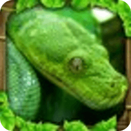 蟒蛇模拟Snake Sim