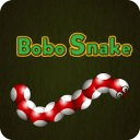 Bobo Snake