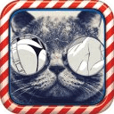 Hello Catty Puzzle Game