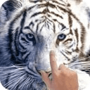 White Tiger Real Water Touch