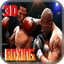 Boxing Revolution 3D