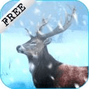 Deer Winter Hunter