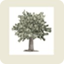 Money Tree Tracker