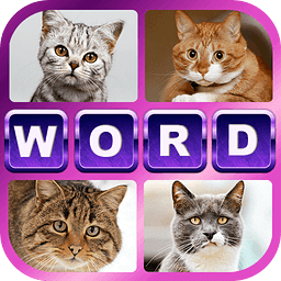 Cats Quiz Online