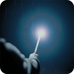 Magic Wand Torch