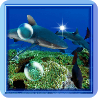 Underwater Sea Predators LWP