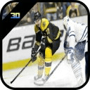 Hockey Pro 3D 2014