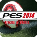 PES 2014 Skill, Tricks Guide