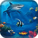 Underwater Aquarium HD LWP