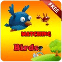 Matching Bird Memory Game