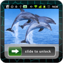 Dolphin Theme Lock Screen