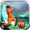 Cricket Fever : Play Your Shot