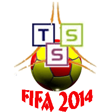 FIFA 2014 Guide